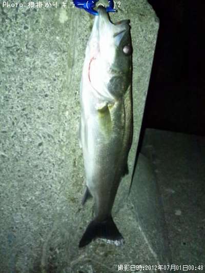 �����Х�