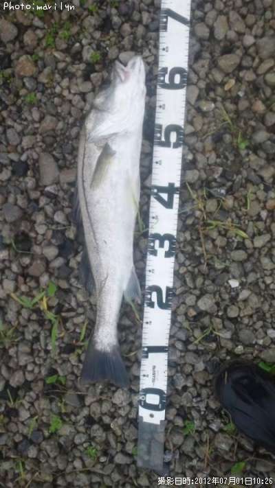 �����Х�