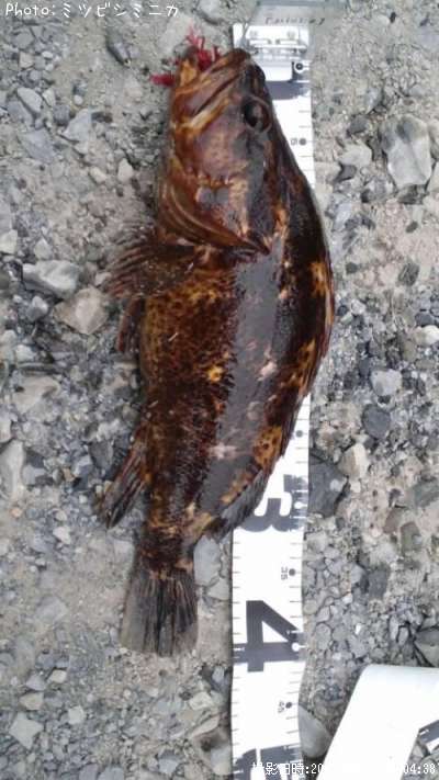 �����Υ���Х�