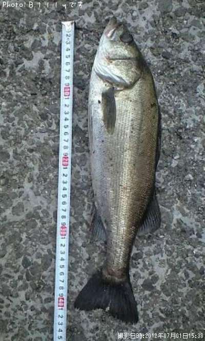 �����Х�