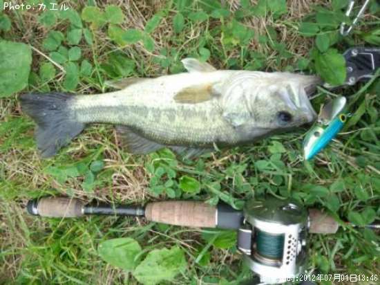 �֥�å��Х�