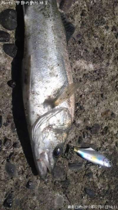 �����Х�