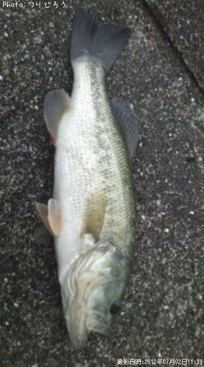 �֥�å��Х�