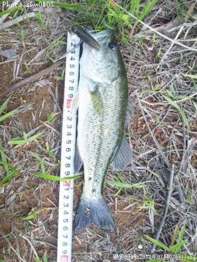 �֥�å��Х�