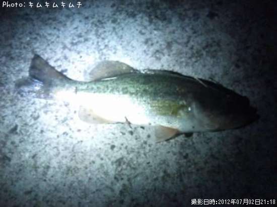 �֥�å��Х�