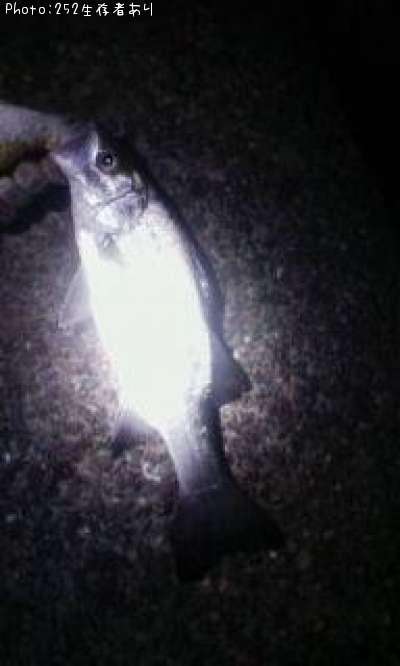 �ҥ饹����