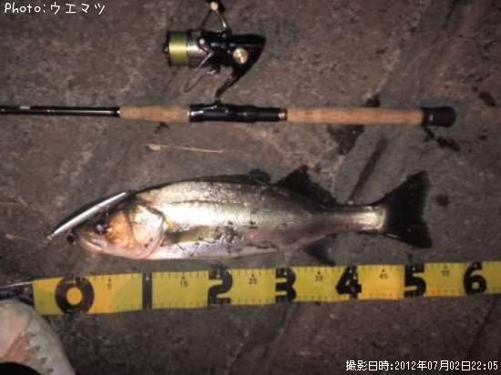 �����Х�