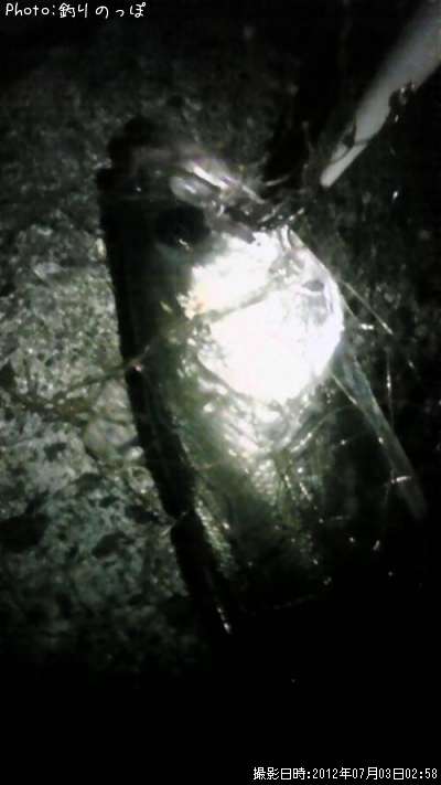 �����Х�