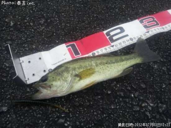 �֥�å��Х�