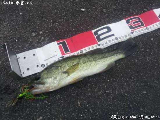 �֥�å��Х�