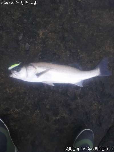 �����Х�