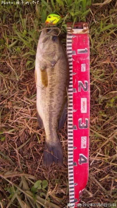 �֥�å��Х�