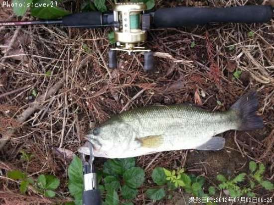 �֥�å��Х�