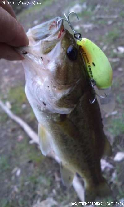 �֥�å��Х�