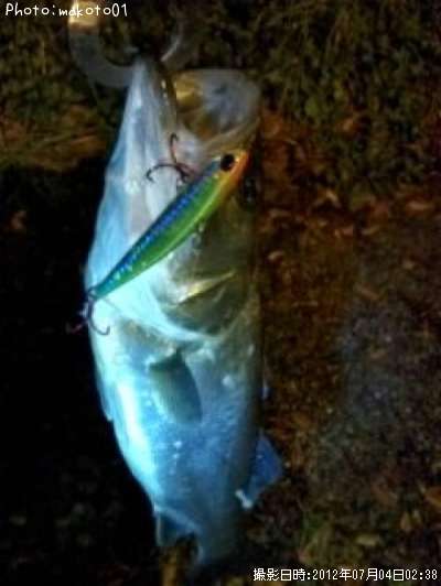 �����Х�