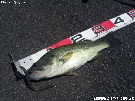 �֥�å��Х�