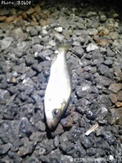 �����Х�