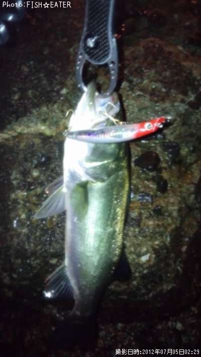 �����Х�