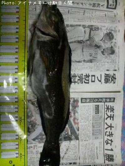 �����ʥ�