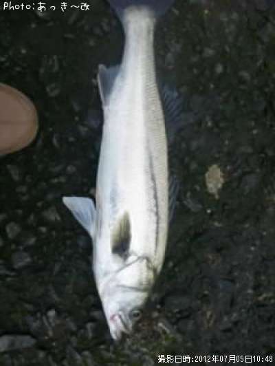 �����Х�