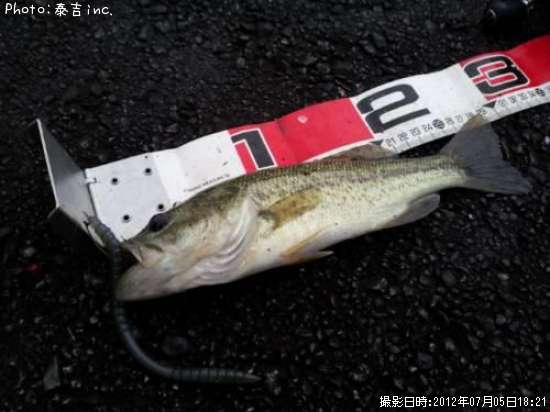 �֥�å��Х�