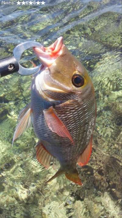 �����ե��ե�����