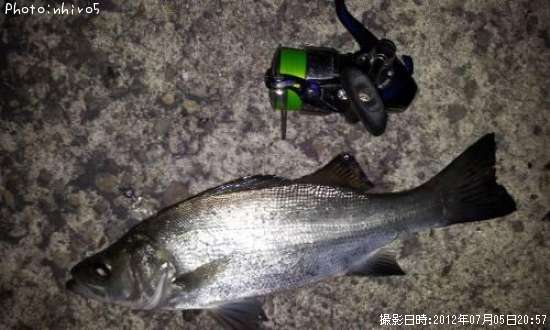 �ҥ饹����