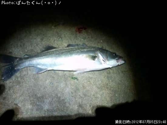 �����Х�