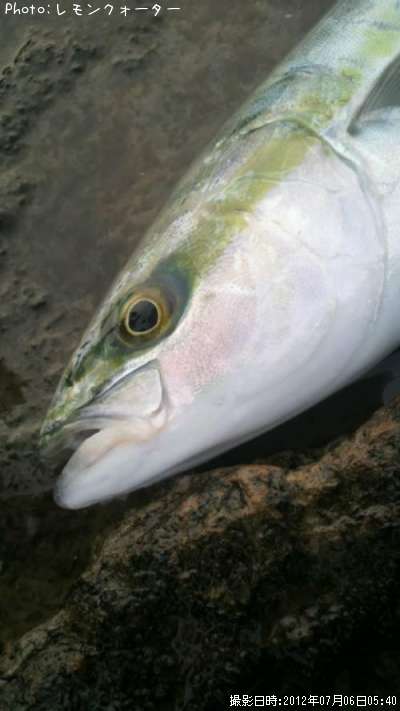 ���ʥ��ȥ��ʥ�ã