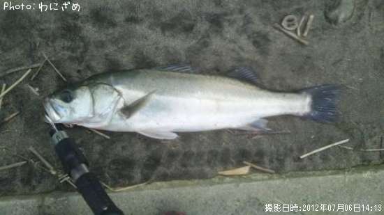 �����Х�