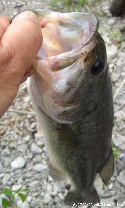 �֥�å��Х�