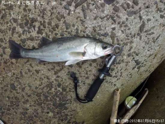 �����Х�