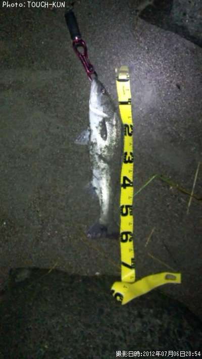 �����Х�