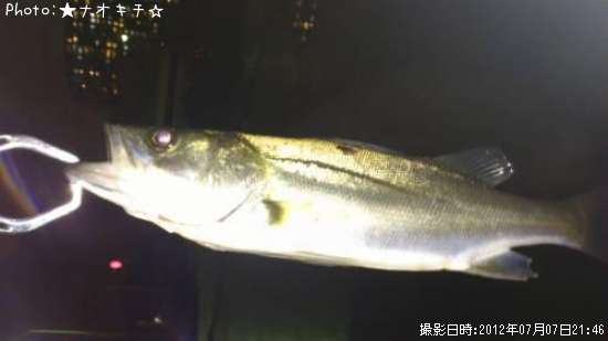 �����Х�