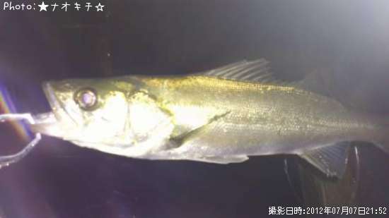 �����Х�