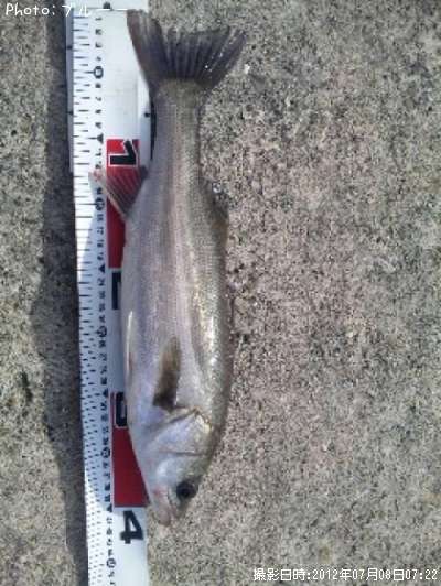 �����Х�