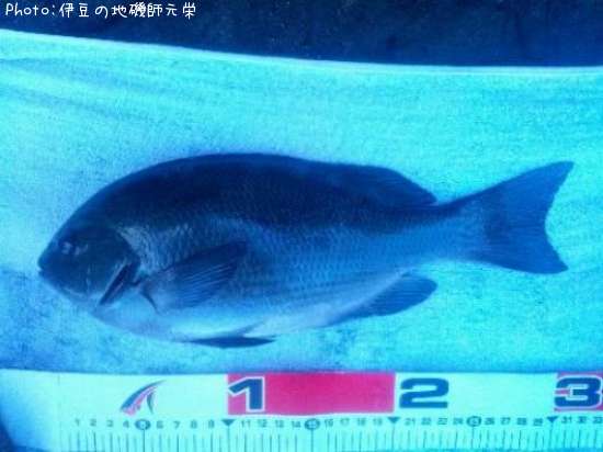 �����᥸��