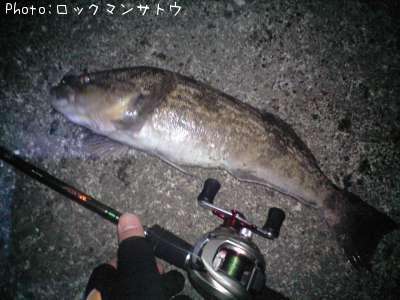 �����ʥ�