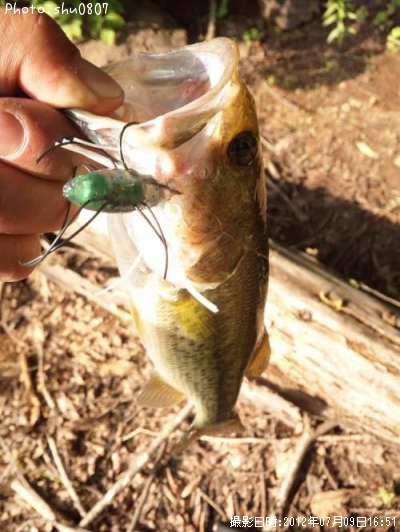 �֥�å��Х�