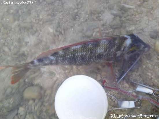 �����ʥ�