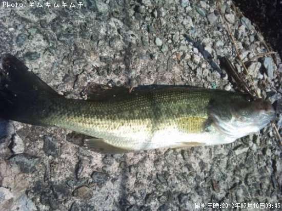 �֥�å��Х�