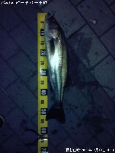 �����Х�