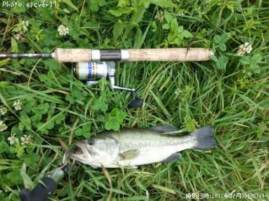 �֥�å��Х�