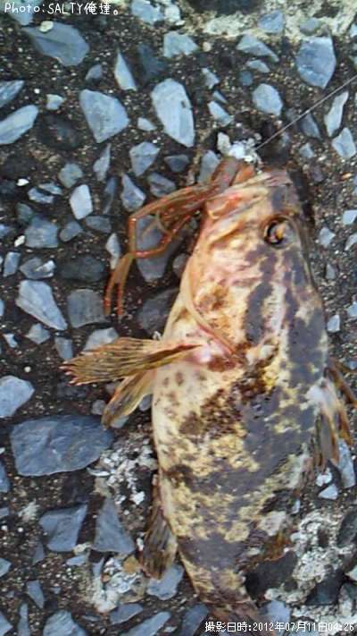 �����Υ���Х�