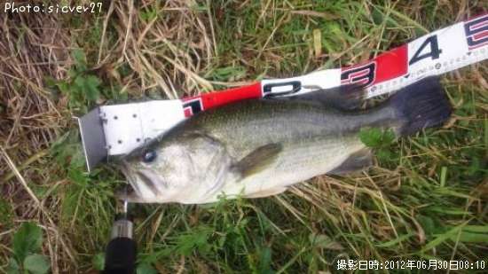 �֥�å��Х�