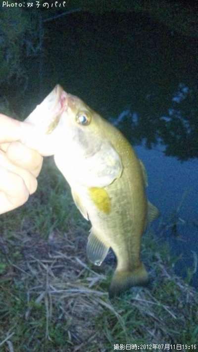 �֥�å��Х�