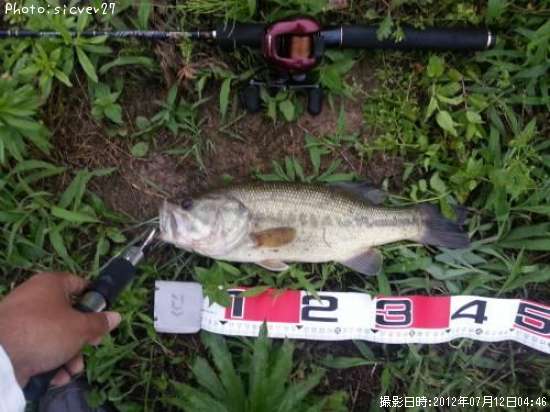 �֥�å��Х�