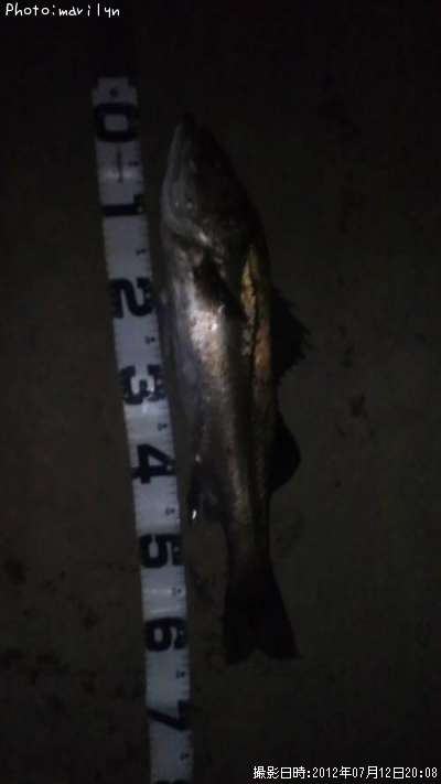 �����Х�