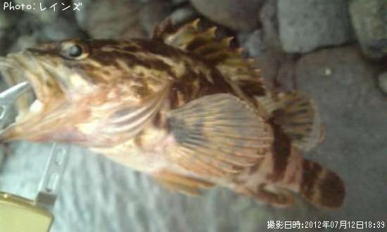 �����Υ���Х�