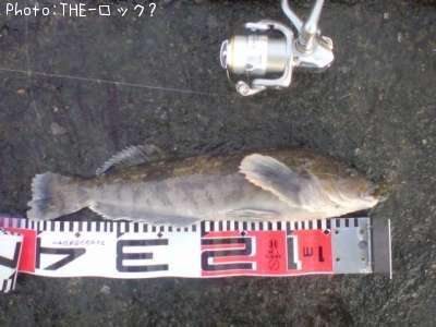 �����ʥ�